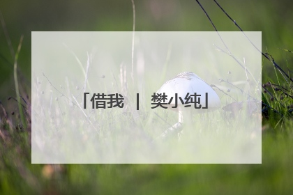 借我 | 樊小纯