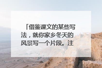借鉴课文的某些写法，就你家乡冬天的风景写一个片段。注意抓住特点来