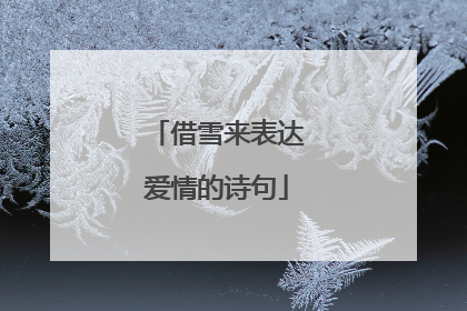 借雪来表达爱情的诗句