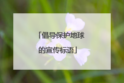 倡导保护地球的宣传标语