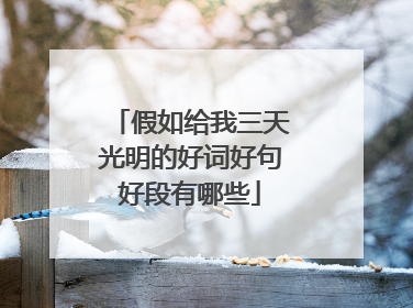 假如给我三天光明的好词好句好段有哪些