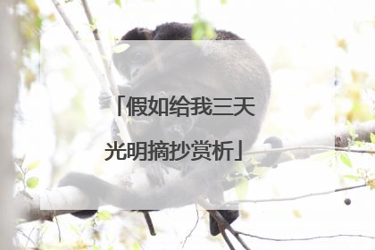 假如给我三天光明摘抄赏析