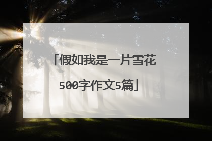 假如我是一片雪花500字作文5篇