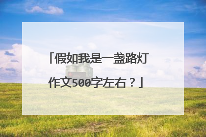 假如我是一盏路灯 作文500字左右?