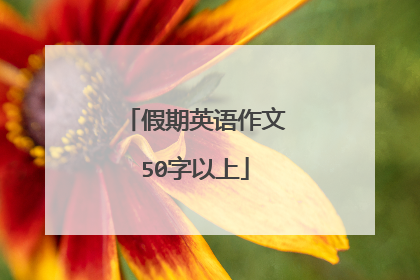 假期英语作文50字以上