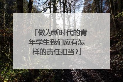 做为新时代的青年学生我们应有怎样的责任担当?