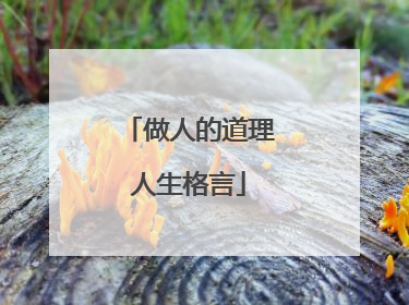 做人的道理人生格言