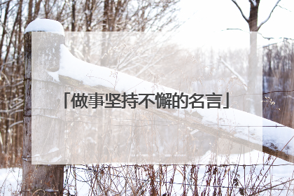 做事坚持不懈的名言