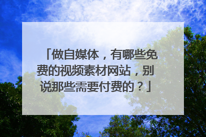 做自媒体，有哪些免费的视频素材网站，别说那些需要付费的？