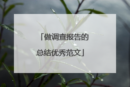 做调查报告的总结优秀范文