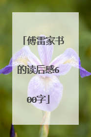 傅雷家书的读后感600字