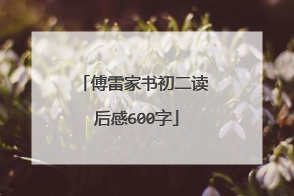 傅雷家书初二读后感600字