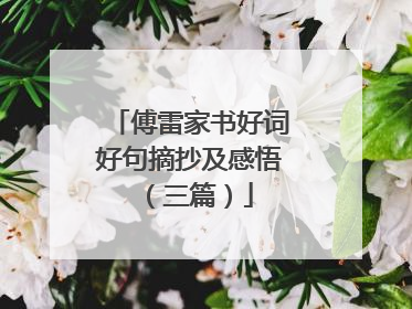 傅雷家书好词好句摘抄及感悟（三篇）