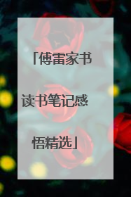 傅雷家书读书笔记感悟精选