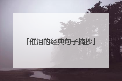 催泪的经典句子摘抄