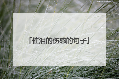 催泪的伤感的句子