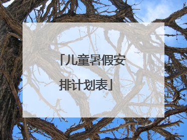 儿童暑假安排计划表