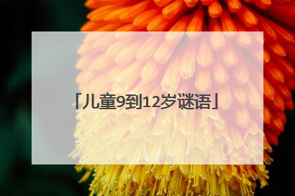 儿童9到12岁谜语