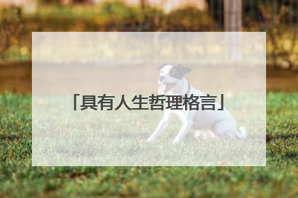 具有人生哲理格言