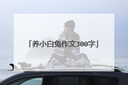 养小白兔作文300字