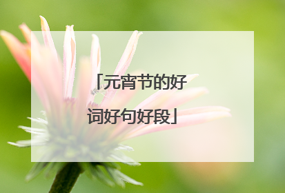 元宵节的好词好句好段