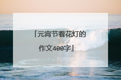 元宵节看花灯的作文400字