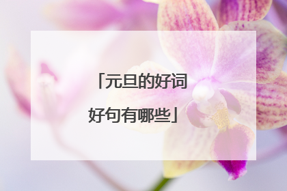 元旦的好词好句有哪些