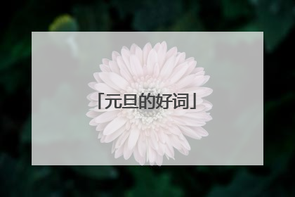 元旦的好词