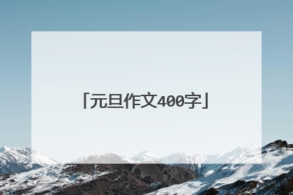 元旦作文400字