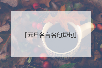 元旦名言名句短句