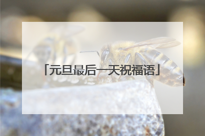 元旦最后一天祝福语