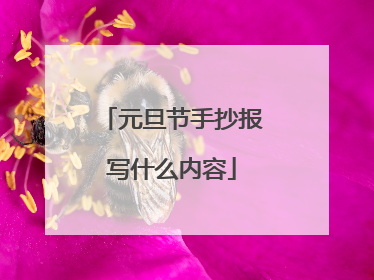 元旦节手抄报写什么内容