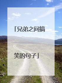 兄弟之间搞笑的句子