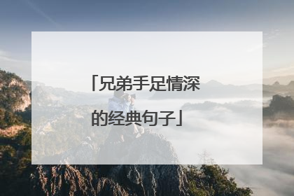 兄弟手足情深的经典句子