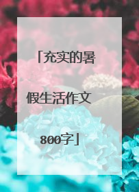 充实的暑假生活作文800字
