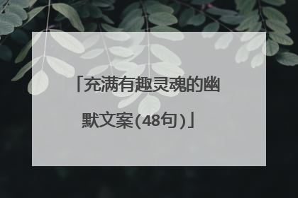 充满有趣灵魂的幽默文案(48句)