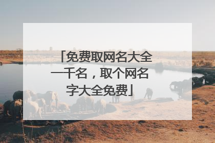 免费取网名大全一千名，取个网名字大全免费