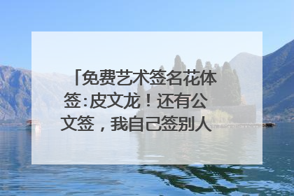 免费艺术签名花体签:皮文龙！还有公文签，我自己签别人的名字都写得比自己的好看好多~