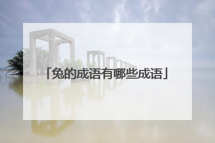 兔的成语有哪些成语