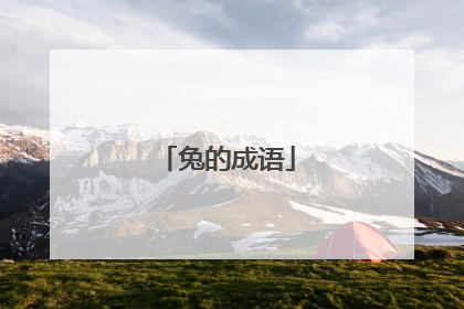 兔的成语