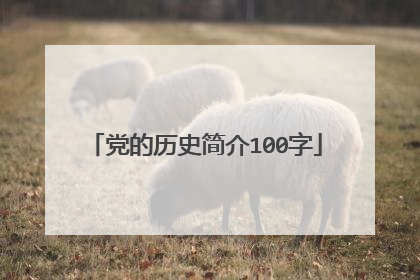 党的历史简介100字