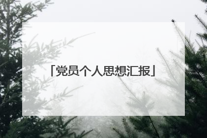 党员个人思想汇报
