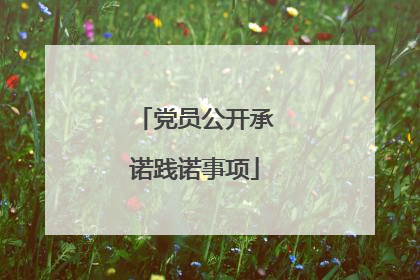 党员公开承诺践诺事项