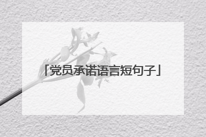 党员承诺语言短句子