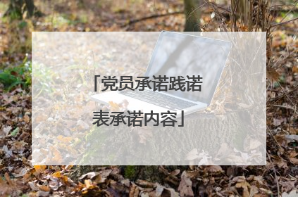 党员承诺践诺表承诺内容