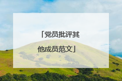 党员批评其他成员范文