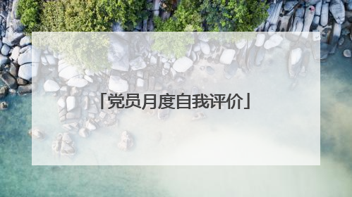 党员月度自我评价