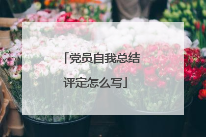 党员自我总结评定怎么写