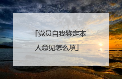 党员自我鉴定本人意见怎么填