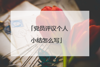 党员评议个人小结怎么写